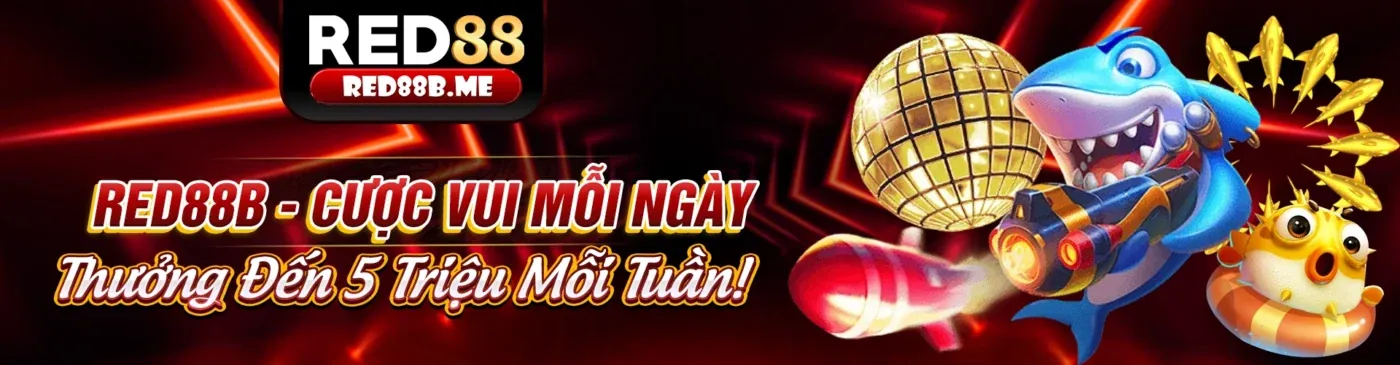Sảnh Đá Gà Trực Tuyến CQ988